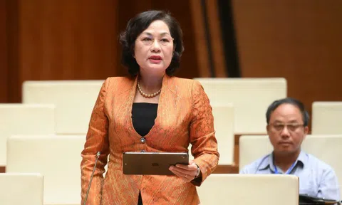 Thống đốc NHNN: Tiềm ẩn rủi ro nếu phụ thuộc vào tín dụng ngân hàng