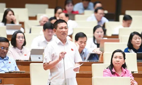 Phó thủ tướng: Nên giữ thuế khoán với hộ kinh doanh thu dưới 1 tỷ/năm