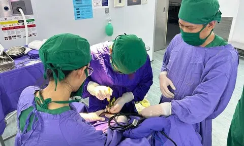 Người phụ nữ 25 tuổi bị kéo nhọn găm vào đầu