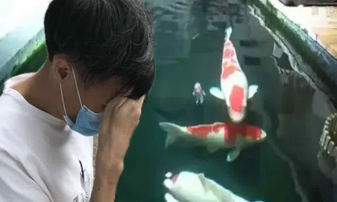 Chi tiền khủng cải tạo tầng hầm chung cư thành ao cá Koi, người đàn ông bị hàng xóm kiện ra tòa: “Anh không được làm thế”