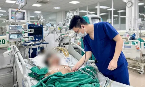10 năm tự chữa đau khớp, cụ ông 77 tuổi nằm thở máy vì tụ cầu vàng đa kháng