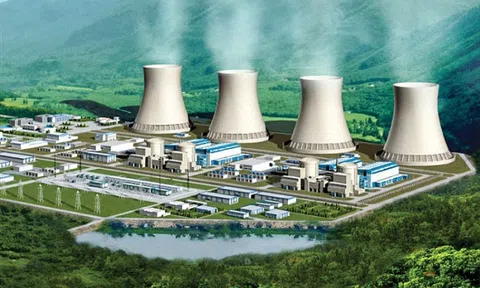 Gấp rút đàm phán với Nga và Nhật Bản, bảo đảm tiến độ các nhà máy điện hạt nhân