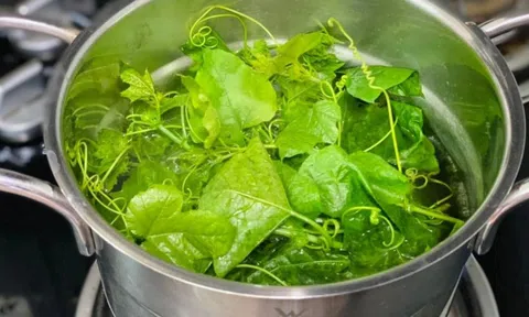 Loại rau mọc bờ rào nay "lên đời" thành đặc sản, vừa ngon bổ vừa dễ trồng tại nhà