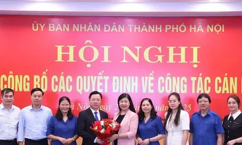 Điều động, bổ nhiệm cán bộ chủ chốt ở Hà Nội và 3 tỉnh