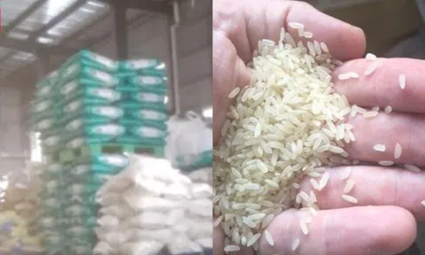 Đột kích nhà máy trong đêm, phanh phui công ty sản xuất gạo giả bán 1.000 tấn mỗi năm, tịch thu 15.750kg gạo chất thành đống