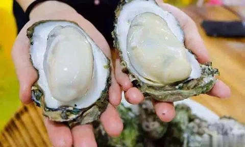 Khi mua hàu, đừng mua 3 loại hàu này: Chủ cửa hàng hải sản không bao giờ để người nhà ăn