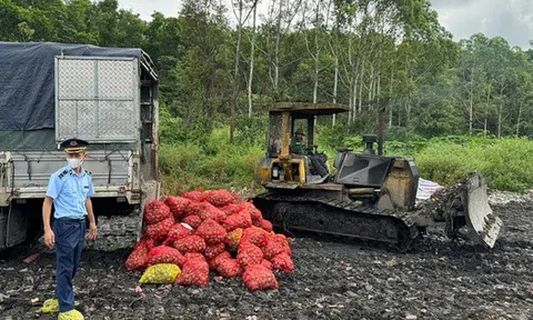 Gần 17 tấn ngao, hàu không rõ nguồn gốc từ Móng Cái vào tiêu thụ nội địa