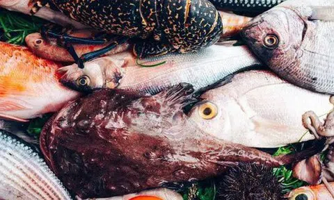Đừng ngần ngại mua 5 loại cá này, đều là cá hoang dã và không thể nuôi được