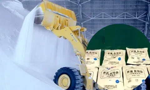 Theo dõi bằng công nghệ cao, cảnh sát triệt phá đường dây sản xuất muối giả chấn động, tịch thu 11 tấn muối chất thành núi