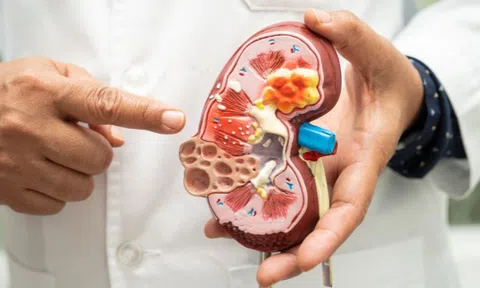 1 phút tự “SOI THẬN” tại nhà, khỏe hay yếu nhìn là biết: Lời khuyên từ “thầy thuốc thế hệ vàng” 40 năm kinh nghiệm
