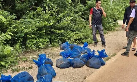 Phát hiện 25 chiếc túi lạ trong rừng, mở ra thấy cảnh tượng "nổi da gà"