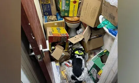 Kiểm tra bí mật 1 cửa hàng, phát hiện lượng lớn hàng giả, hàng bất hợp pháp dưới toilet: Tòa án vào cuộc