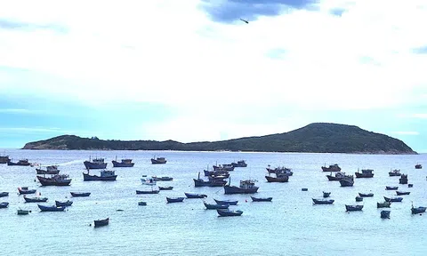 Việt Nam lọt tốp 7 thị trường hàng đầu thế giới ở 1 lĩnh vực bền vững: "Mỏ vàng" âm thầm kiếm tỷ USD
