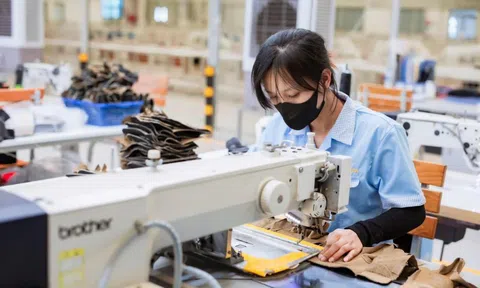 Gam màu sáng tối trong bức tranh xuất khẩu Hà Tĩnh