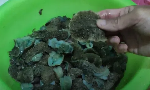 Thứ trông kỳ dị không ngờ là đặc sản "ăn giòn sần sật" dân phố thích mê, 70.000 đồng/kg