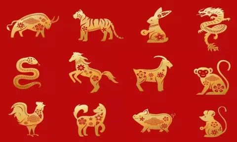 4 con giáp được cát tinh hỗ trợ, giàu có sung túc bậc nhất tháng 6 âm khiến nhiều người ngưỡng mộ