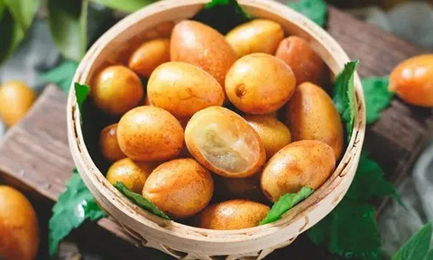 Loại quả dại ở Việt Nam lại là "trái vàng" được săn lùng tại Trung Quốc, từ rễ đến hạt đều "bổ như sâm"