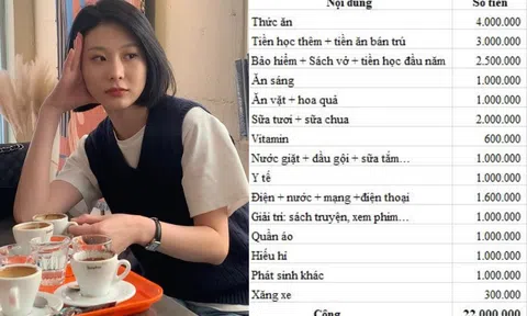 Bảng chi tiêu trị giá 22 triệu đồng bị chê tơi tả