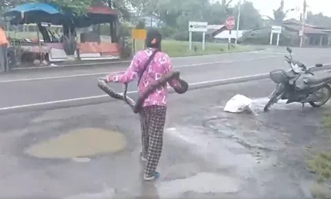 Đang đi dạo, bất ngờ thấy cảnh tượng "nổi da gà"