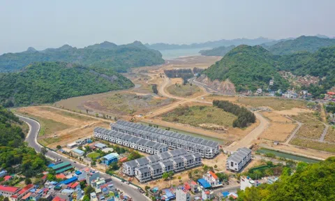 Hai công ty liên quan MIK Group thâu tóm Cát Bà Amatina