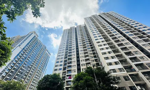 Kiến trúc sư 20 năm kinh nghiệm tiết lộ: Mua nhà chung cư nên nhớ 7 chữ vàng “mua ngang, mua nhiều, đừng mua ba” để an cư