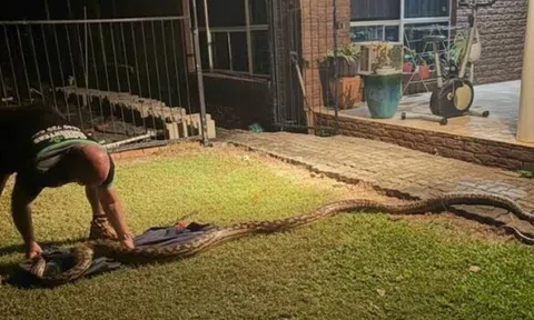 Nghe tiếng động lạ, đi kiểm tra, người đàn ông chứng kiến cảnh tượng nổi da gà
