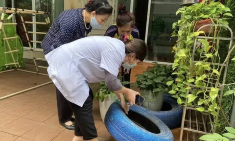 Sốt xuất huyết gia tăng tại Hà Nội, 4 ổ dịch mới bùng phát trong một tuần