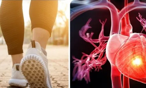 Những kiểu đi bộ giúp cơ tim khoẻ mạnh