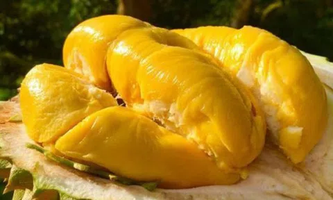 Muốn da đẹp luôn ẩm mịn, trắng sáng vào mùa hè? Ăn ngay 5 loại trái cây "thần kỳ" này!