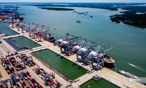 ADB hạ dự báo tăng trưởng các nền kinh tế châu Á và Thái Bình Dương