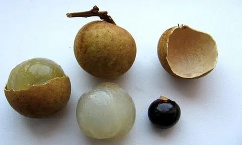 Hóc hạt nhãn, bé gái 2 tuổi tử vong