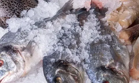 Hôm nay tôi được khai sáng cách rã đông CÁ mà KHÔNG cần ngâm nước lã