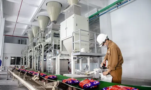 Hóa chất Đức Giang đang 'ngồi trên núi tiền'