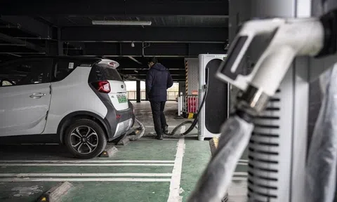 EU đề xuất cấm cho thuê xe xăng, Thủ tướng Đức 'quay xe' phản đối