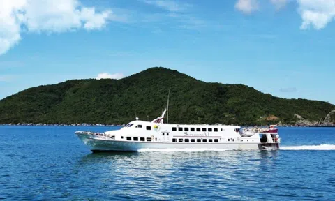 Hãng tàu cao tốc đi Phú Quốc, Phú Quý lãi đậm nhất 2 năm
