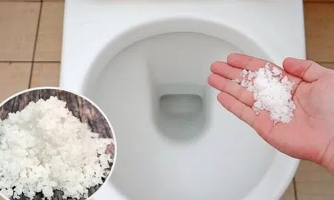 Rắc vài hạt muối vào bồn cầu, cả gia đình nhận lại lợi ích không ngờ