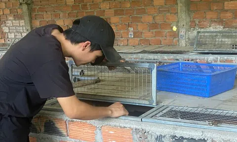 Nuôi con "hiền lành, mắn đẻ", chàng trai 9X thu lãi 500 triệu đồng/năm