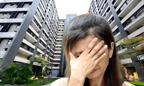 Chi 49 tỷ đồng mua hết 14 căn hộ trong tòa chung cư, 1 năm sau người phụ nữ đòi trả lại 8 căn, chủ đầu tư tuyên bố: Sẽ không hoàn đồng nào