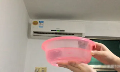 Đặt chậu nước trong phòng điều hòa chỗ nào là tốt nhất? Không phải ai cũng biết cách làm đúng