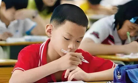 Đại học Harvard nói: Đây là 1 trong những yếu tố dự báo đáng TIN CẬY nhất về khả năng thành công của trẻ!