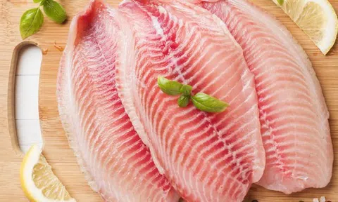 Đi chợ thấy loại cá này phải mua ngay: Nhiều protein hơn hẳn cá hồi nhưng giá chỉ bằng 1/10