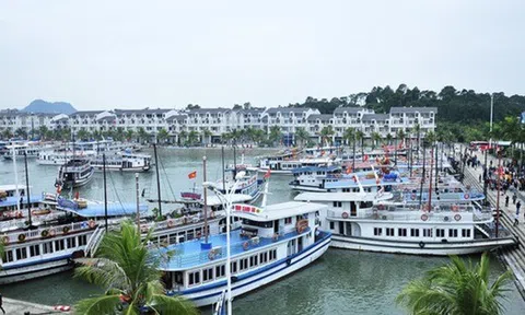 Quảng Ninh tạm ngừng cấp phép các hoạt động tham quan, lưu trú trên vịnh Hạ Long
