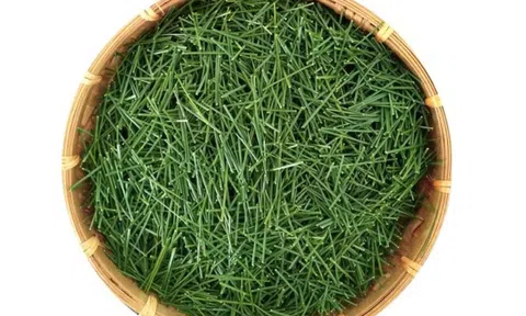 Loại lá dại ở nước ta "cho không ai lấy", nước ngoài gần nửa triệu/kg