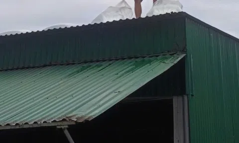 Trèo lên mái nhà chống bão số 5, chồng bị điện giật tử vong, vợ và con bị thương