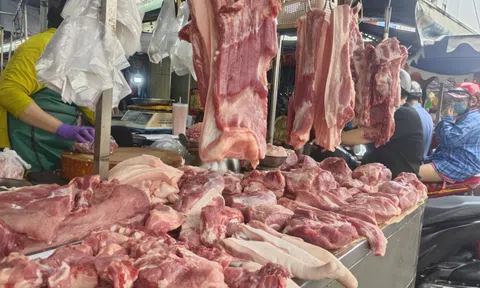 Giá heo hơi hôm nay 28-8: Miền Bắc tăng nhẹ