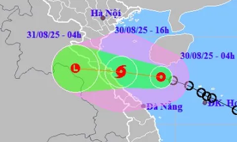 Áp thấp nhiệt đới khả năng mạnh thành bão giật cấp 10, đổ bộ vào đâu?