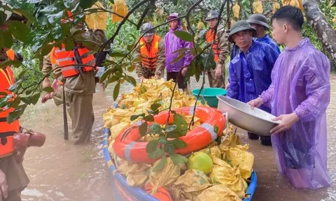 Nông dân Hà Tĩnh chèo thuyền thu hoạch bưởi Phúc Trạch trước bão