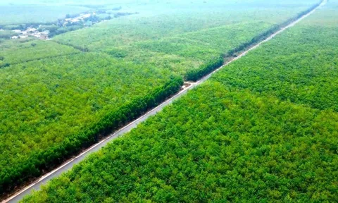 Chốt hạn về đích 2 tuyến đường kết nối trọng điểm phía Nam