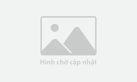 Yêu cầu tăng cường phòng chống đường nhập lậu