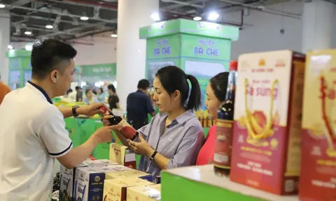 Chương trình khuyến mại tập trung quốc gia 2025 kích cầu tiêu dùng cho thị trường nội địa